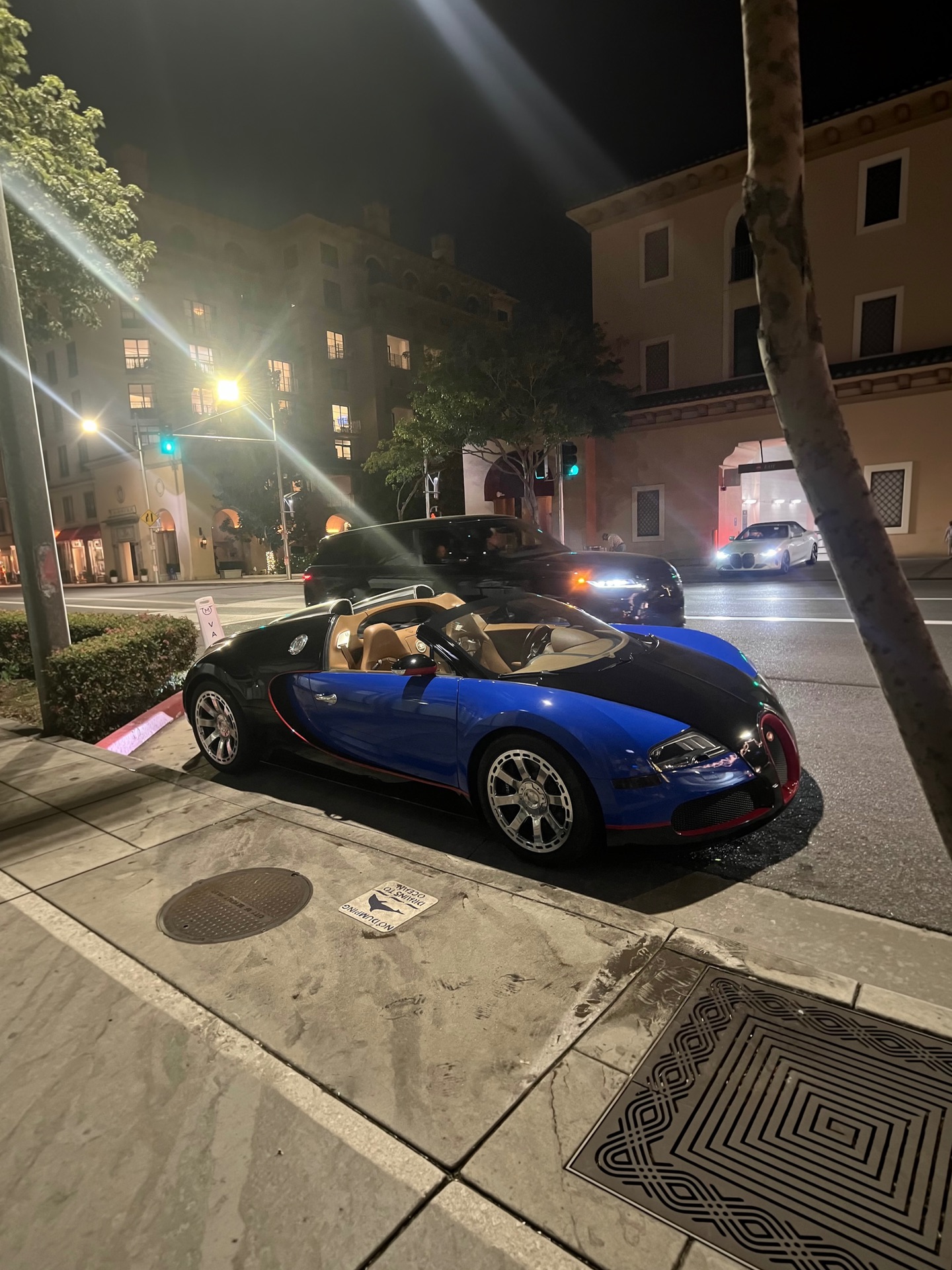 Bugatti Veyron 16.4 Grand Sport in Beverly Hills