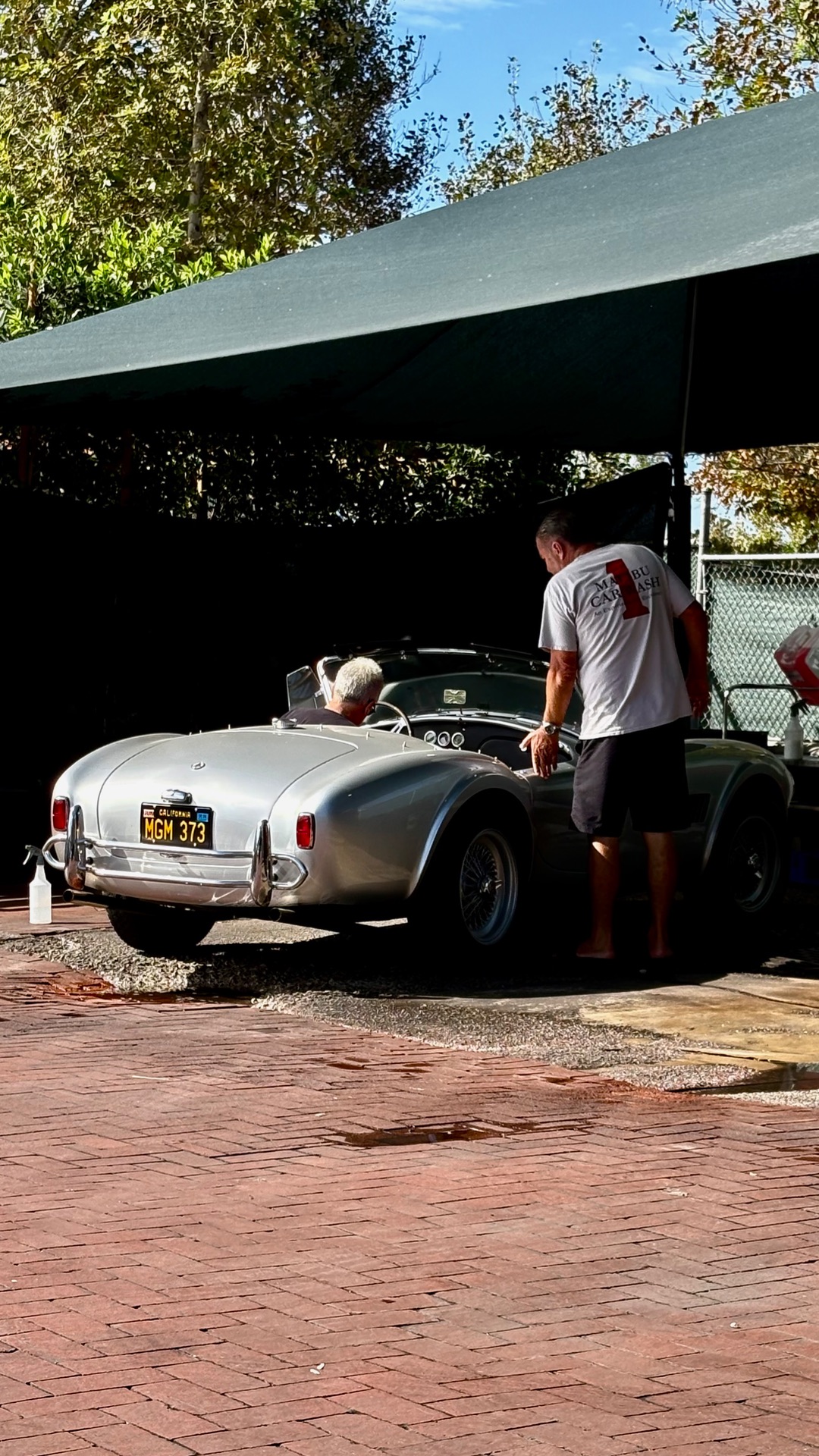 Shelby Cobra 289