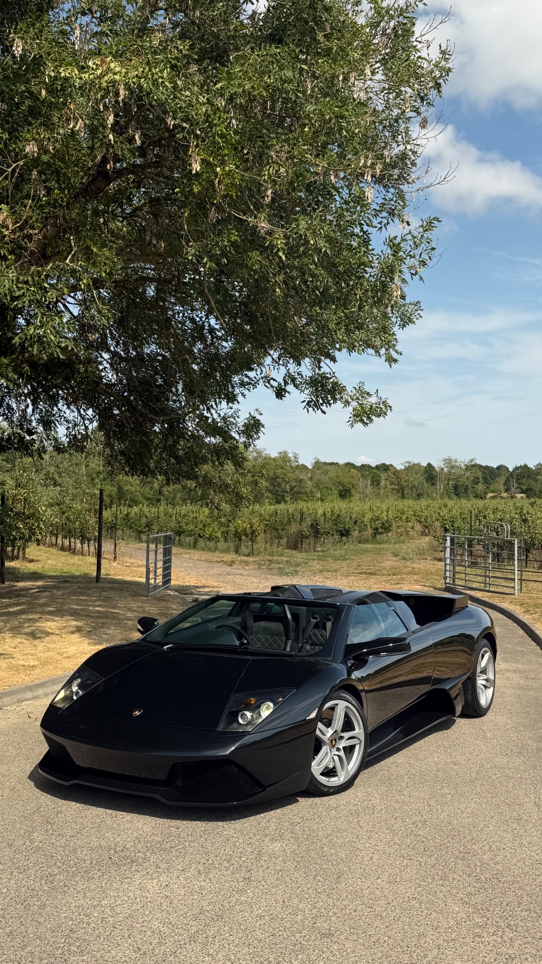 Lamborghini Murciélago