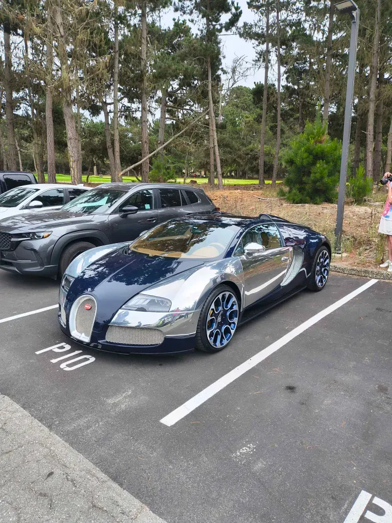 Bugatti Veyron 16.4 Grand Sport 'Sang Bleu'