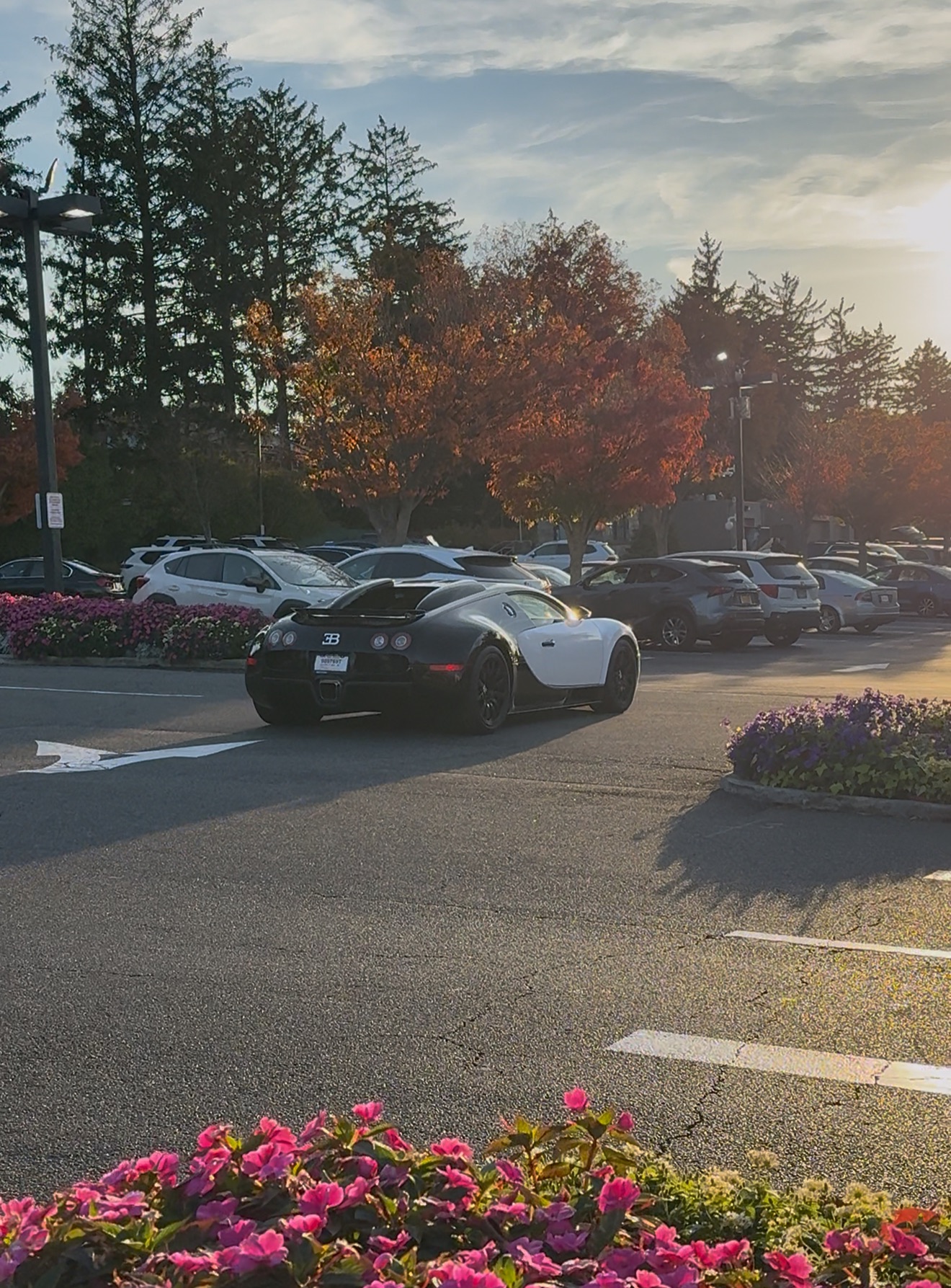 Bugatti Veyron 16.4