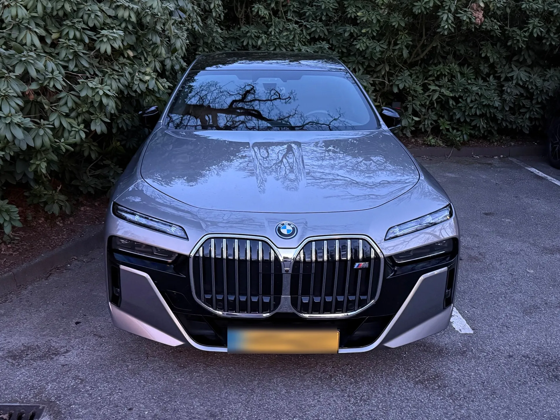 BMW M760e xDrive in Voorburg