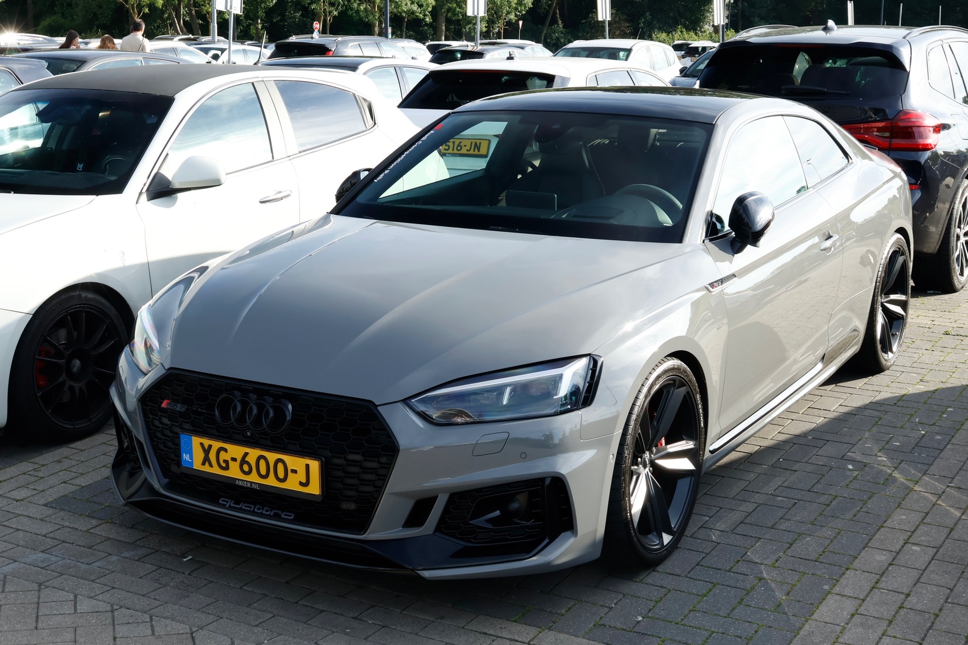 Audi RS5 B9 in Leidschendam
