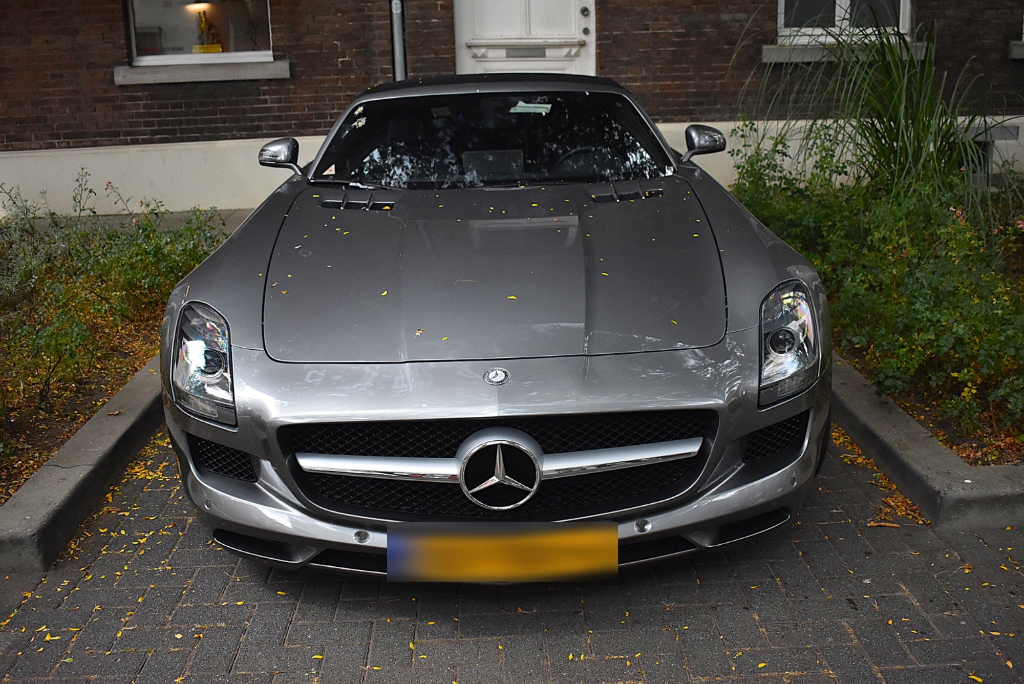 Mercedes-Benz SLS AMG Roadster