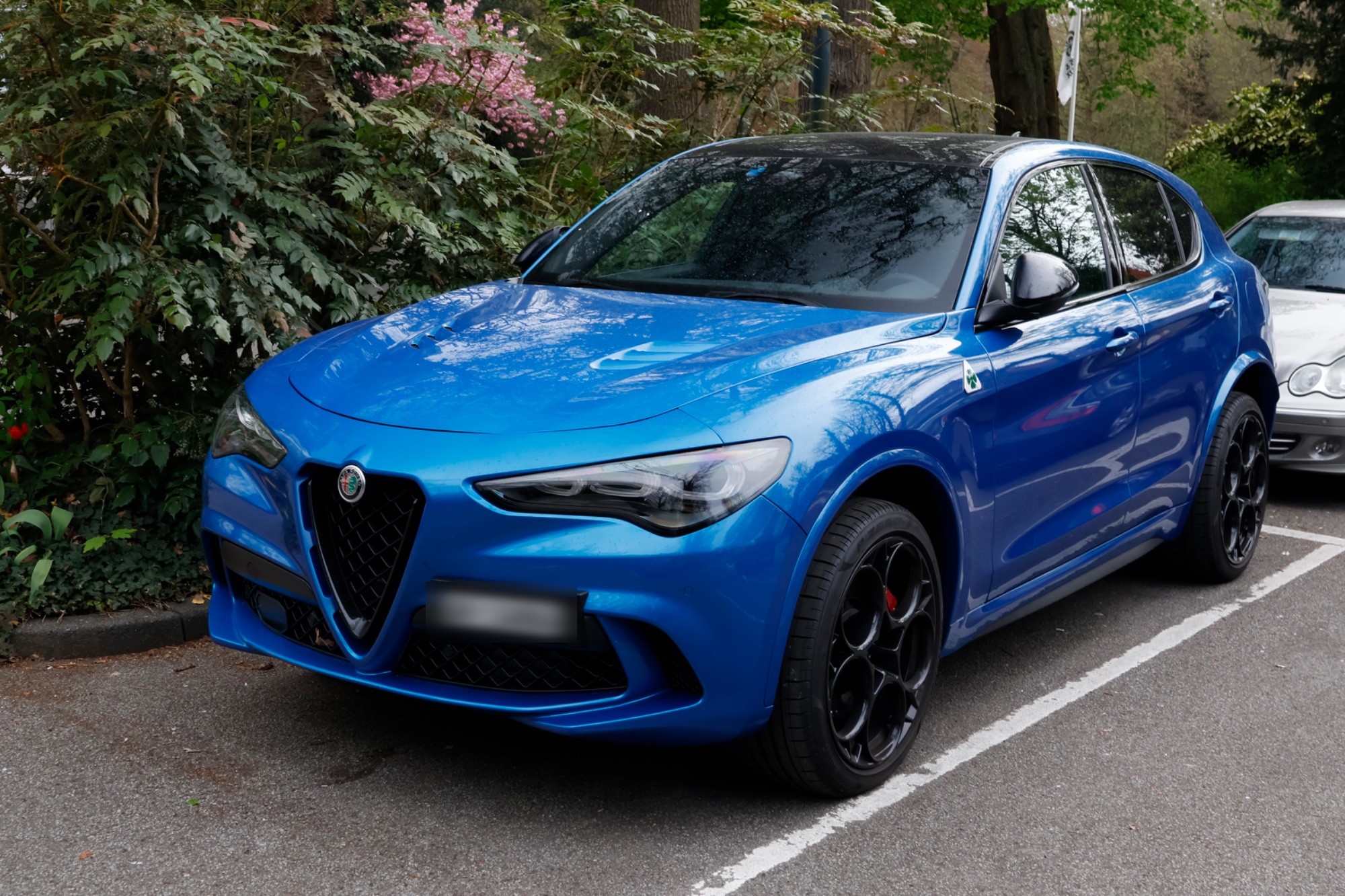 Alfa Romeo Stelvio Quadrifoglio 2023 in Voorburg