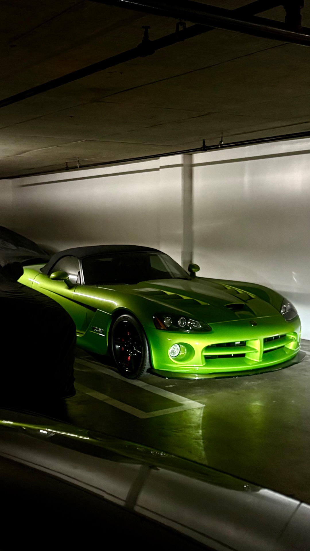 Dodge Viper SRT-10 Roadster 2008
