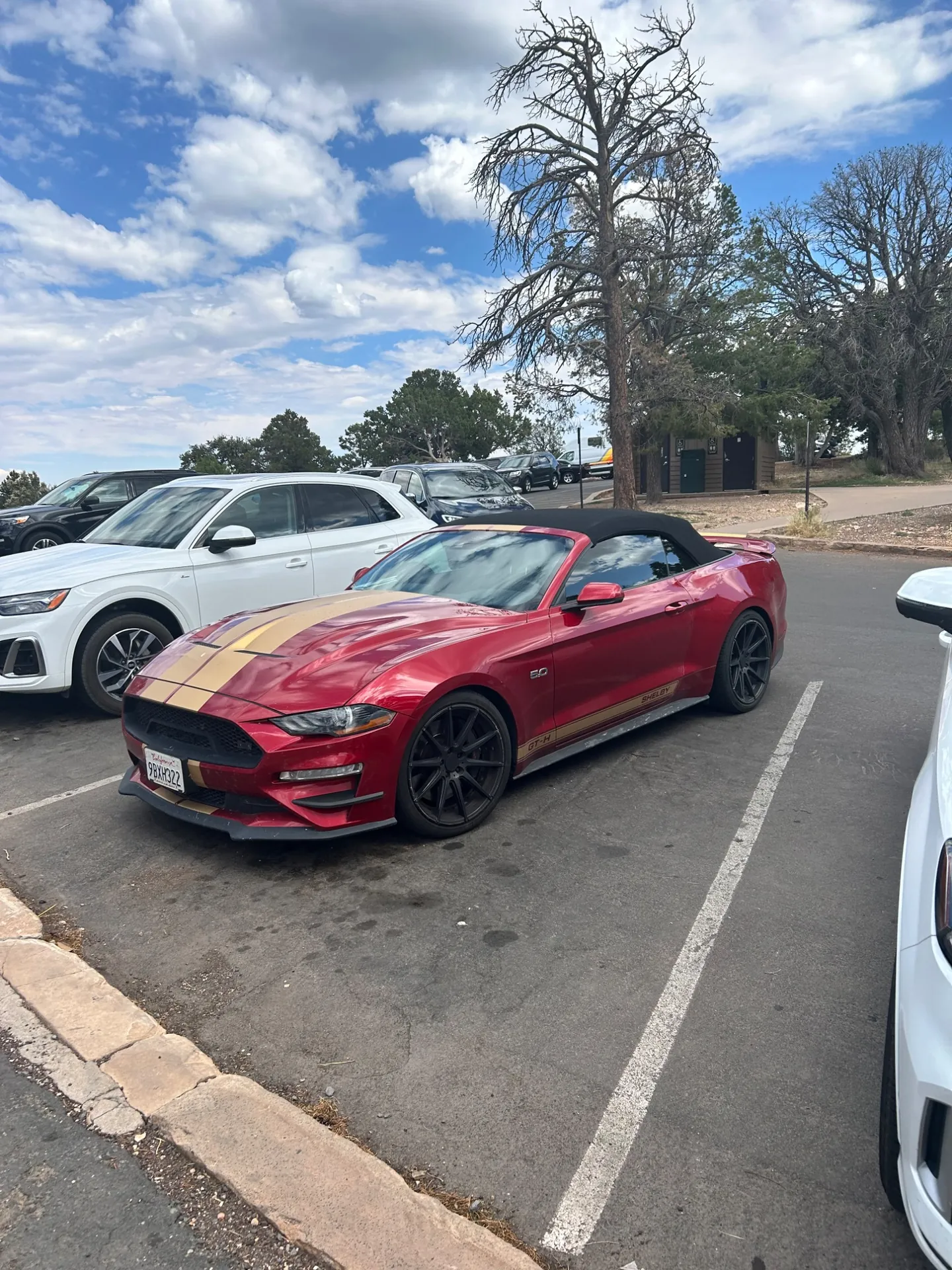 Ford Mustang GT Convertible 2018