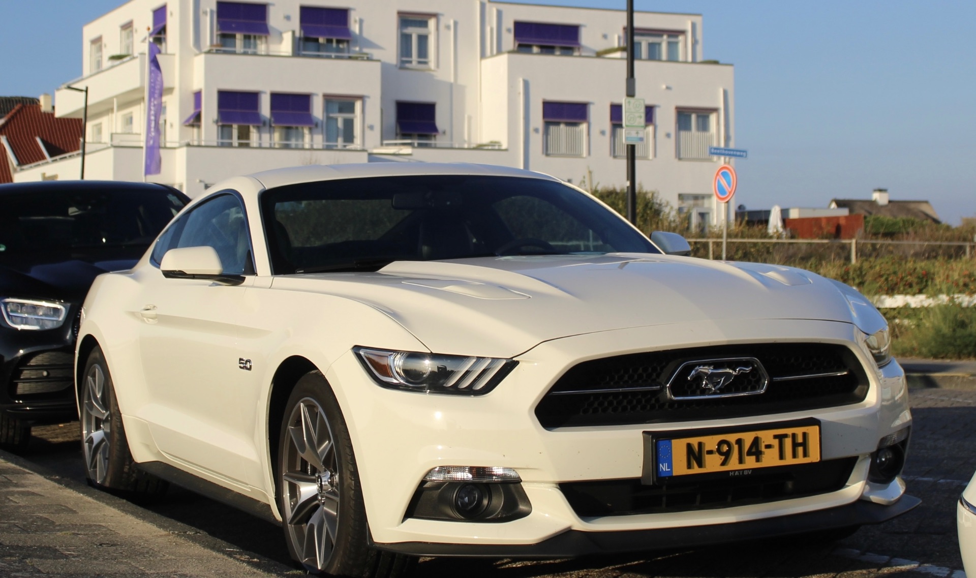 Ford Mustang GT 50th Anniversary Edition